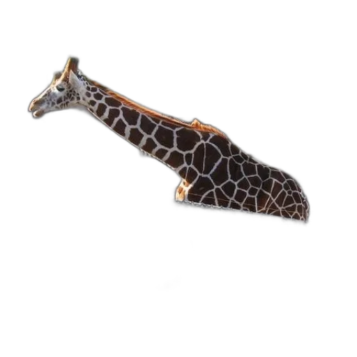 jewelry, staff, animal, weapon transparent PNG cut-out