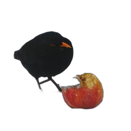 hat, crown, food, mask transparent PNG cut-out
