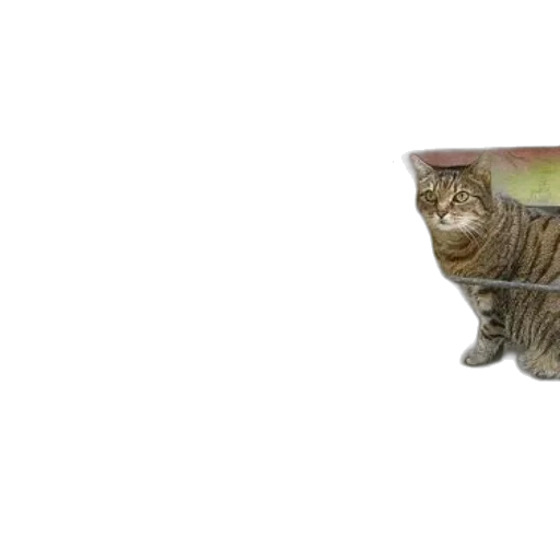 furniture, animal, photorealistic, 3d render transparent PNG cut-out