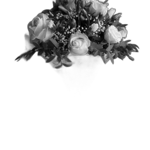 crown, jewelry, hat, flower transparent PNG cut-out