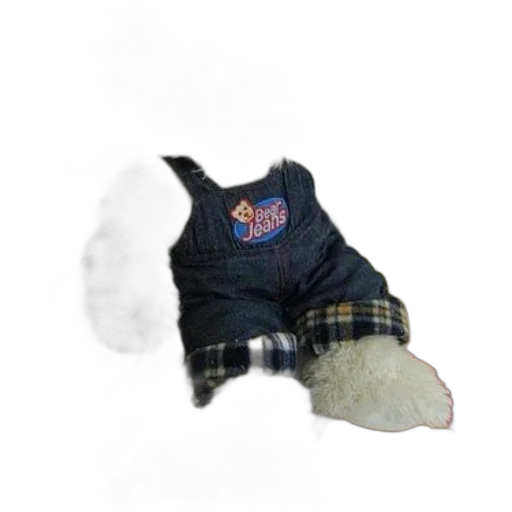 jacket, hat, creature, animal transparent PNG cut-out