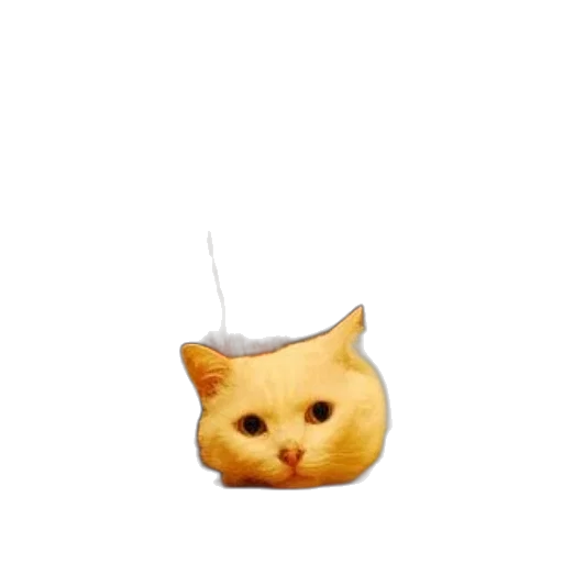 animal, food, hat, staff transparent PNG cut-out