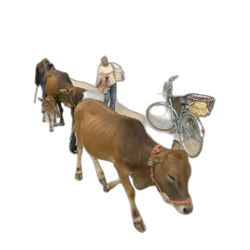 jewelry, animal, furniture, 3d render transparent PNG cut-out