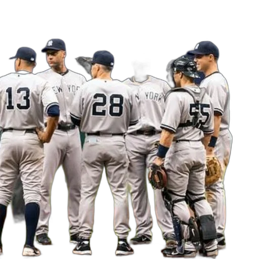 animal, group, new, york transparent PNG cut-out