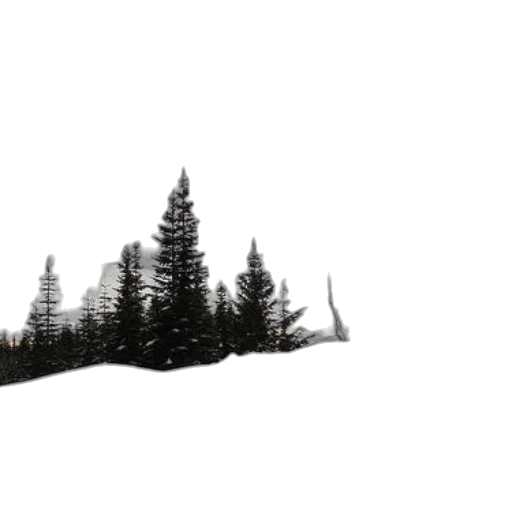 tree, hat, crown, animal transparent PNG cut-out