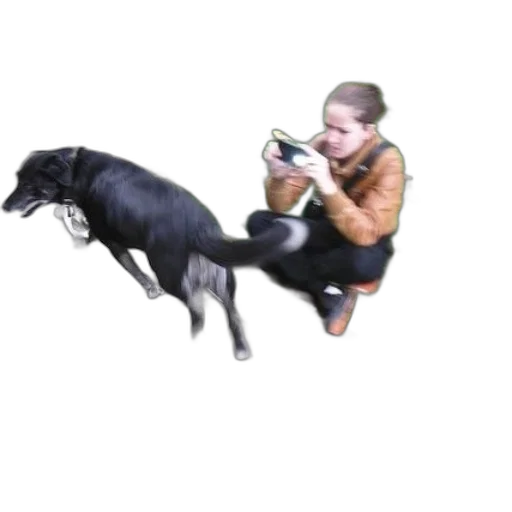 animal, creature, weapon, staff transparent PNG cut-out