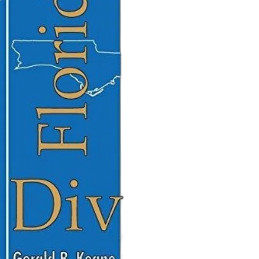cover, florida, divorce, handbook transparent PNG cut-out