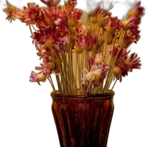 flower, crown, staff, food transparent PNG cut-out
