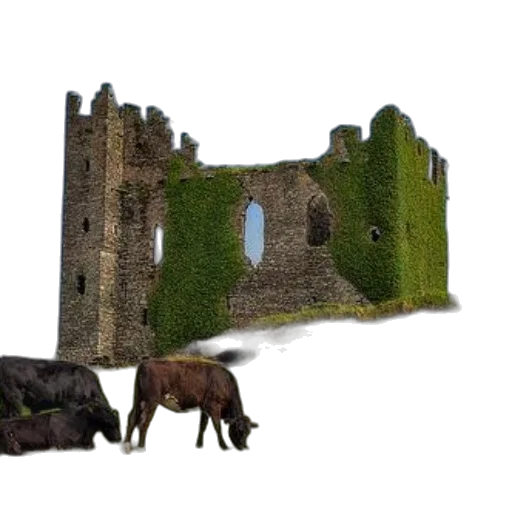 building, animal, crown, dragon transparent PNG cut-out