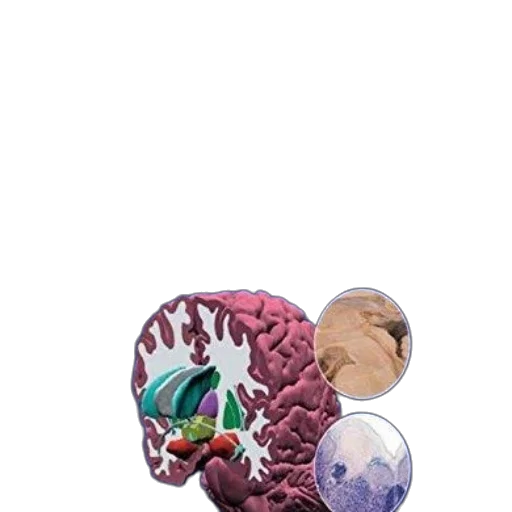 creature, mask, animal, crown transparent PNG cut-out