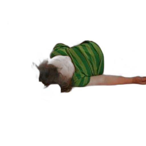 animal, creature, staff, dress transparent PNG cut-out