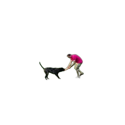 animal, creature, staff, pixel art transparent PNG cut-out