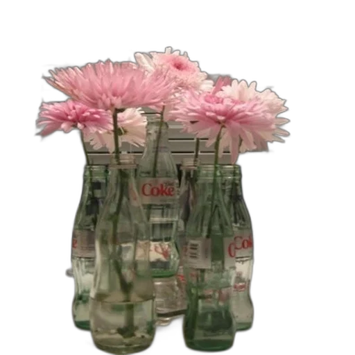 bottle, jacket, flower, dress transparent PNG cut-out