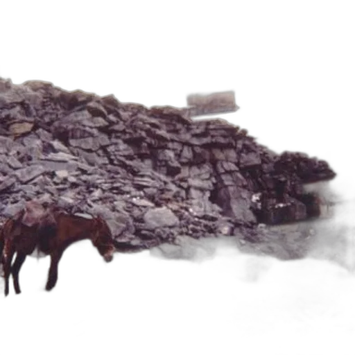 animal, creature, weapon, dragon transparent PNG cut-out