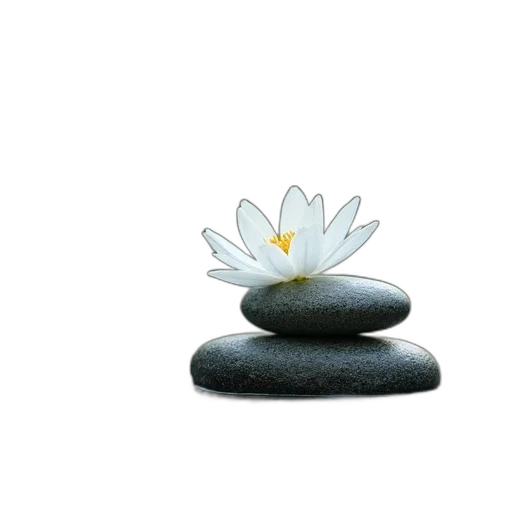 flower, jewelry, crown, staff transparent PNG cut-out