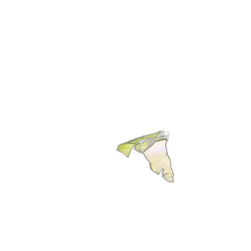 shoes, food, hat, umbrella transparent PNG cut-out