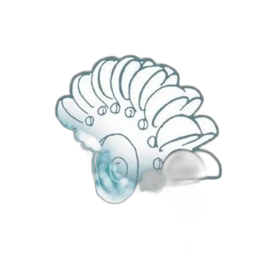 jewelry, hair, crown, 3d render transparent PNG cut-out