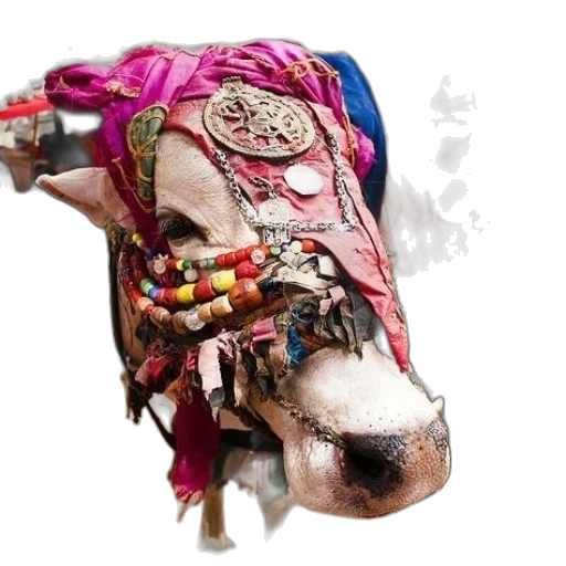 mask, face, jewelry, animal transparent PNG cut-out