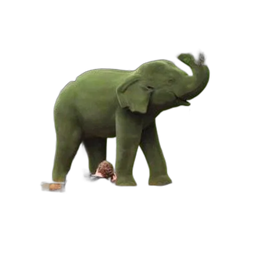 animal, creature, shoes, staff transparent PNG cut-out