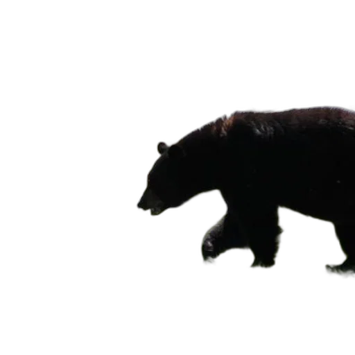animal, creature, staff, weapon transparent PNG cut-out
