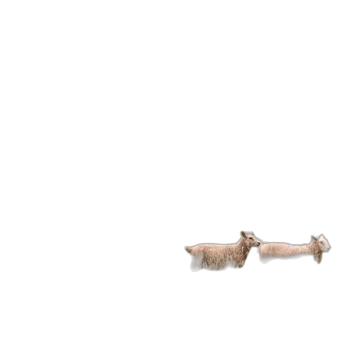 animal, weapon, creature, staff transparent PNG cut-out