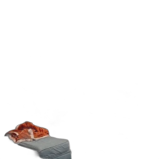 shoes, hat, furniture, animal transparent PNG cut-out