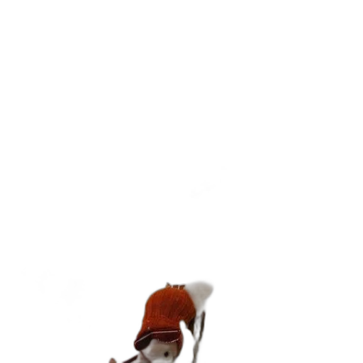 hat, staff, shoes, animal transparent PNG cut-out
