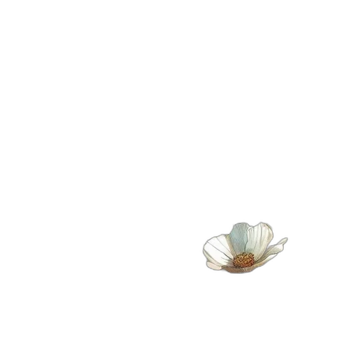 hat, flower, food, jewelry transparent PNG cut-out