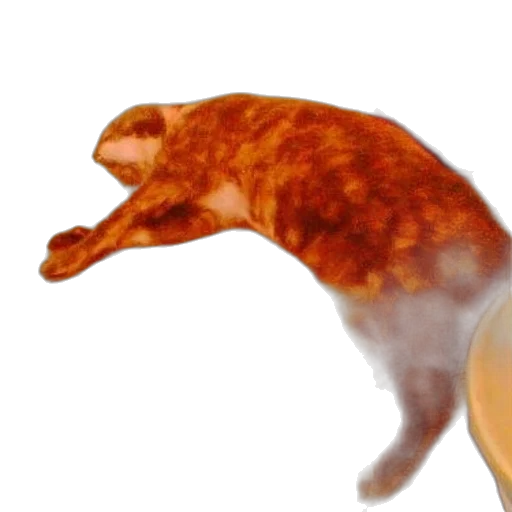 animal, food, dragon, creature transparent PNG cut-out