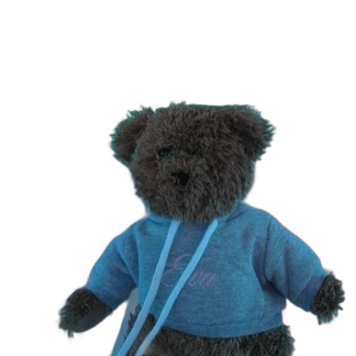 staff, jacket, 3d render, teddy transparent PNG cut-out