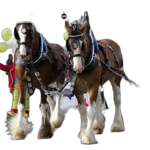 staff, 3d render, two, clydesdale transparent PNG cut-out