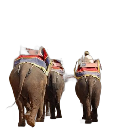animal, staff, 3d render, concept art transparent PNG cut-out