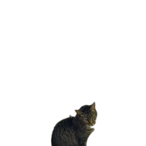 animal, staff, creature, robot transparent PNG cut-out