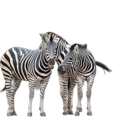 animal, 3d render, photorealistic, concept art transparent PNG cut-out