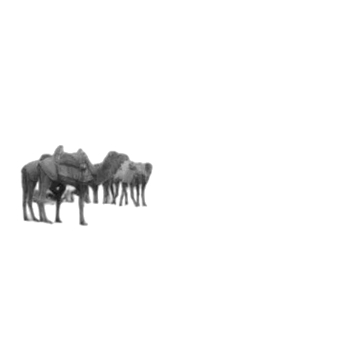 animal, creature, furniture, weapon transparent PNG cut-out