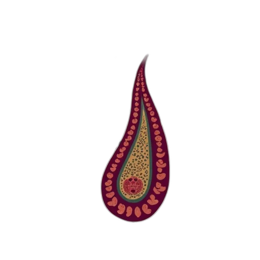 jewelry, staff, crown, flower transparent PNG cut-out