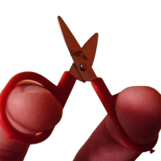 staff, weapon, jewelry, animal transparent PNG cut-out