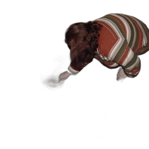 animal, creature, hair, staff transparent PNG cut-out