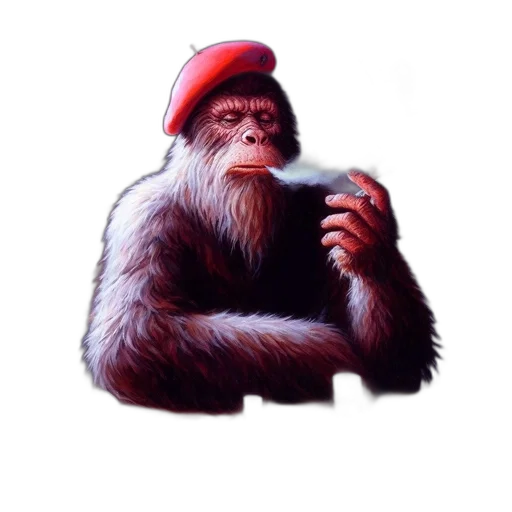 animal, hat, creature, concept art transparent PNG cut-out