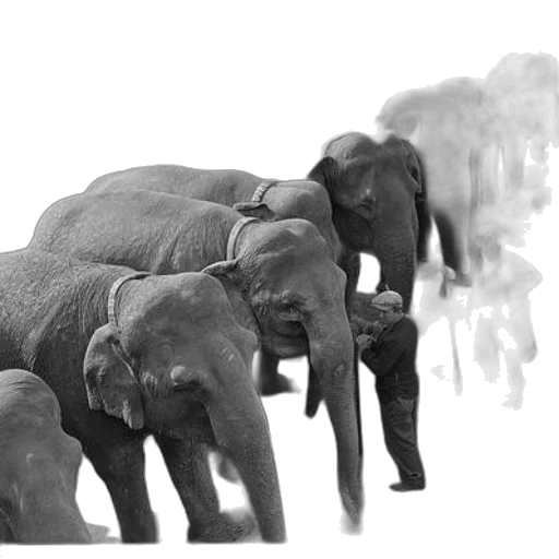 animal, 3d render, concept art, photorealistic transparent PNG cut-out