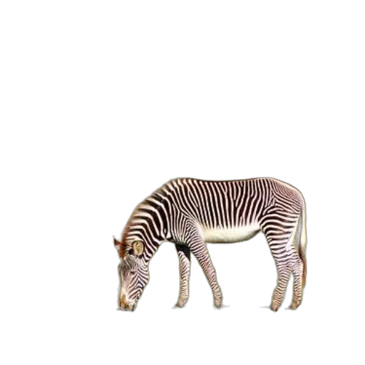 animal, creature, robot, furniture transparent PNG cut-out
