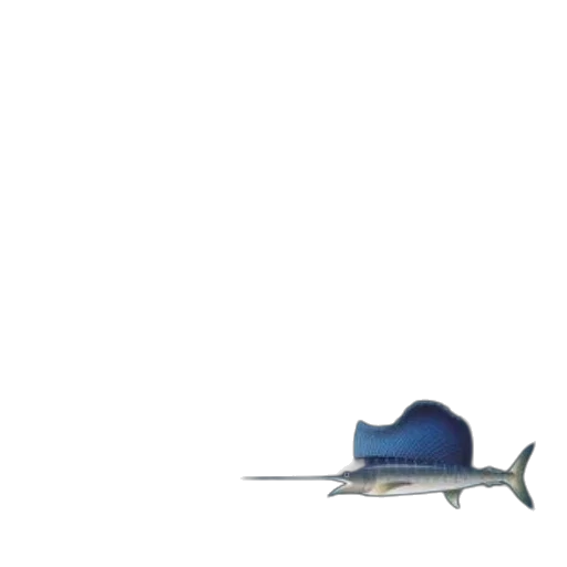 hat, weapon, animal, sword transparent PNG cut-out