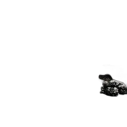 shoes, jewelry, food, robot transparent PNG cut-out