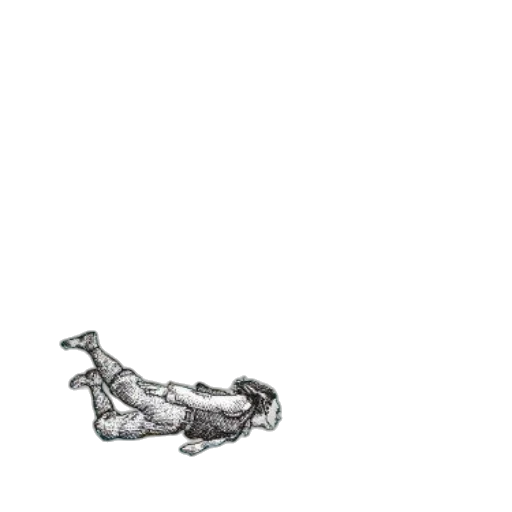 animal, dragon, creature, shoes transparent PNG cut-out