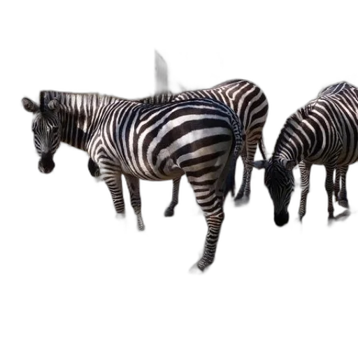 animal, creature, jewelry, furniture transparent PNG cut-out