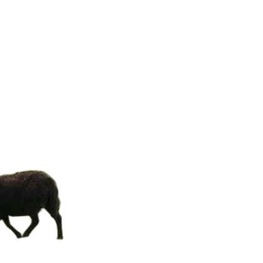animal, creature, weapon, staff transparent PNG cut-out