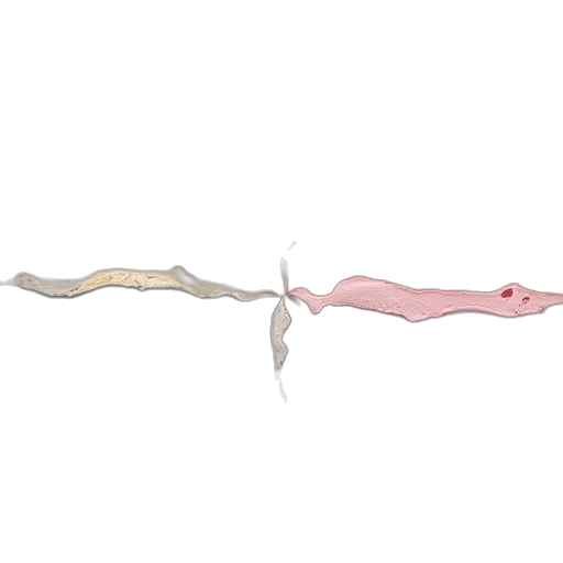 staff, weapon, sword, hair transparent PNG cut-out