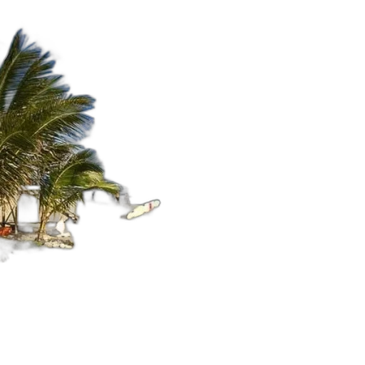 umbrella, weapon, tree, 3d render transparent PNG cut-out