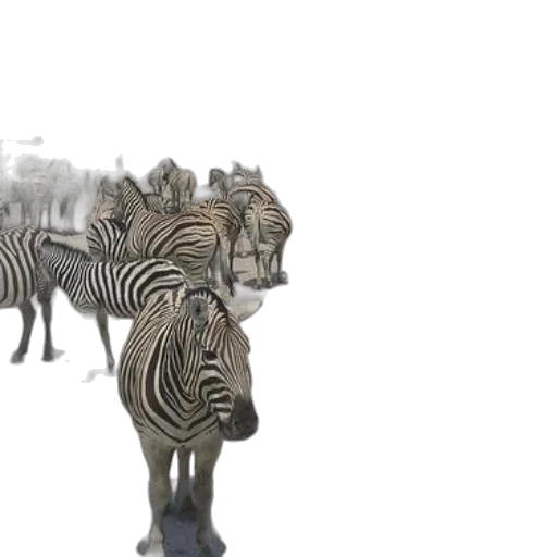 animal, creature, 3d render, concept art transparent PNG cut-out