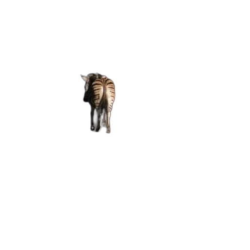 animal, creature, hair, furniture transparent PNG cut-out